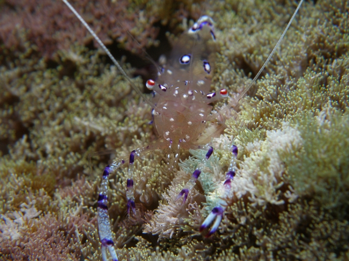 P4150016.JPG