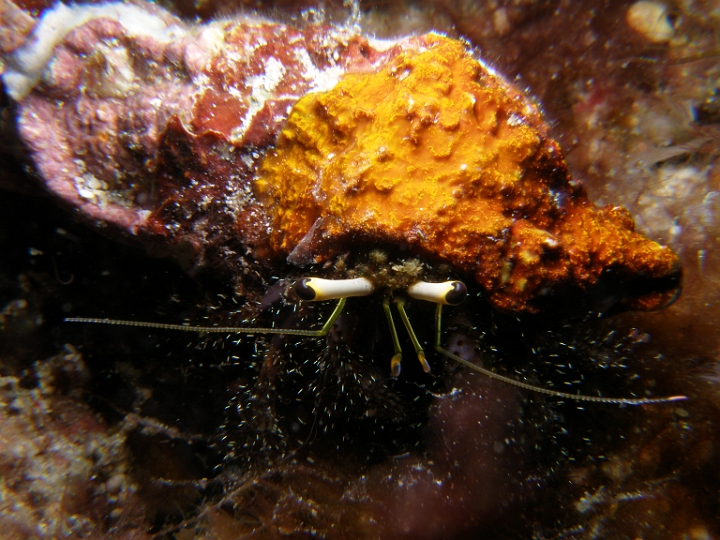 P4150040.JPG