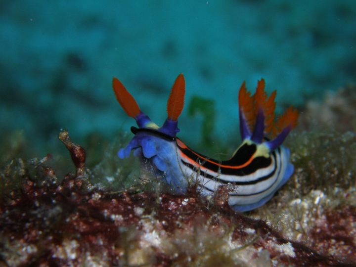 P4160244.JPG