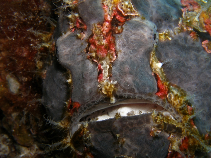 P4160257.JPG