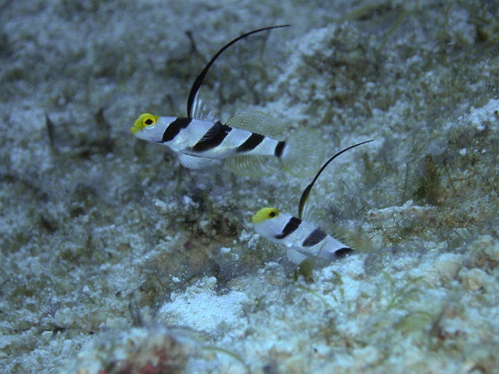P4190744.JPG