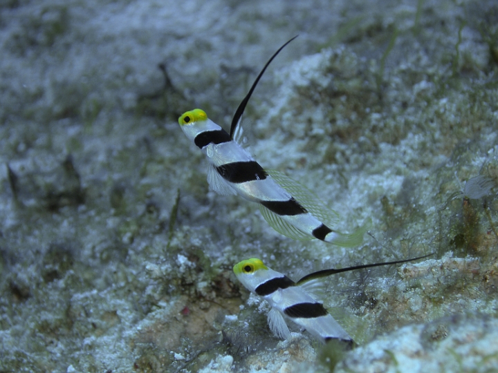 P4190754.JPG