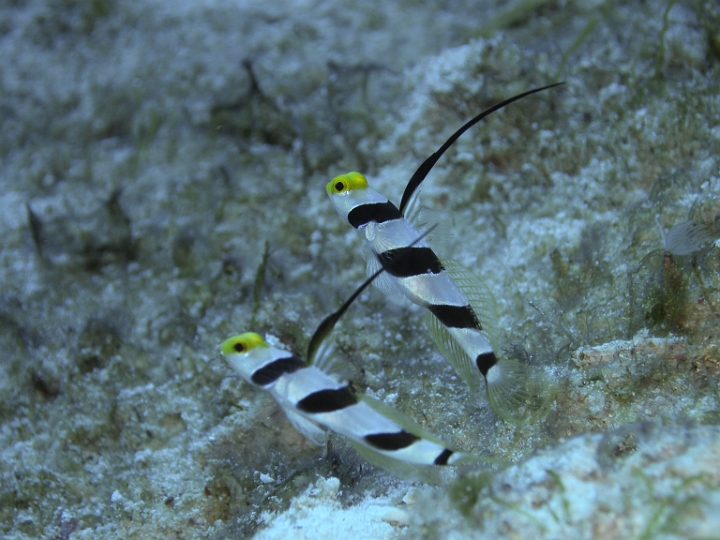 P4190756.JPG