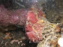 P4150039