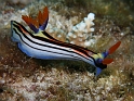 P4160238
