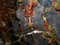 P4160257