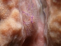 P4160276