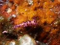 P4170338