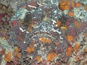 P4170349