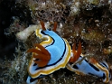P4170462