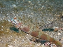 P4180508