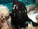 P4180572