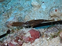 P4190620
