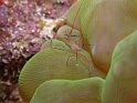 P4190639