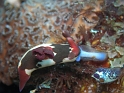 P4190694
