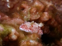 P4210901