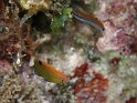 P4210940