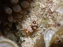 P4210952
