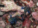 P4211008