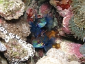 P4211021