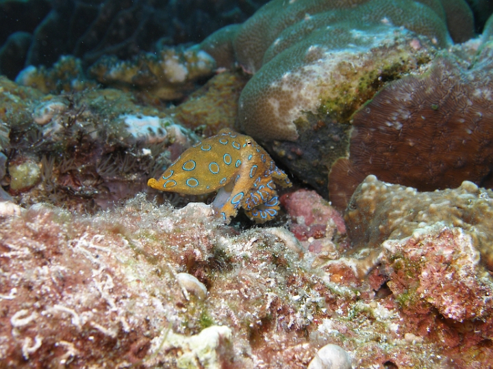 P4150316.JPG