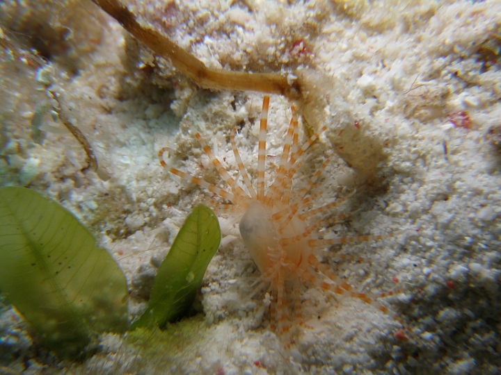 P4160482.JPG