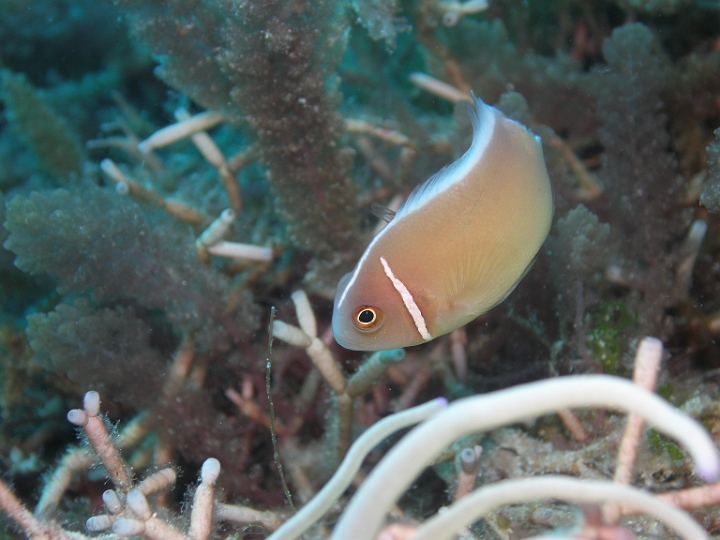 P4160545.JPG