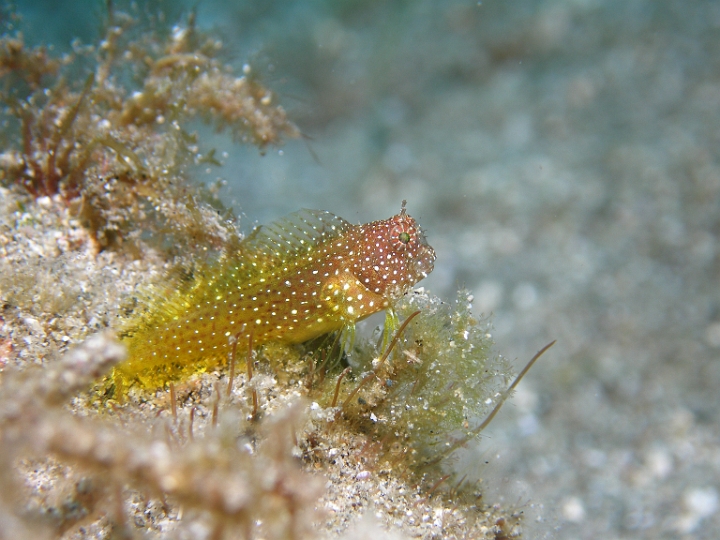 P4170633.JPG