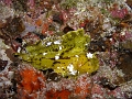 P4130112