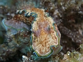 P4140231
