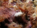 P4160455