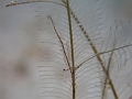 P4160499