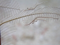 P4160503
