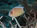P4160564