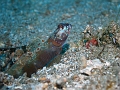 P4170610