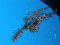 P4170652