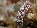 P4050215
