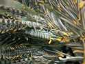 P4080130
