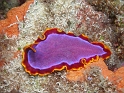 P4100489