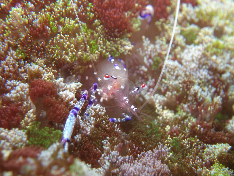 P4070532.JPG