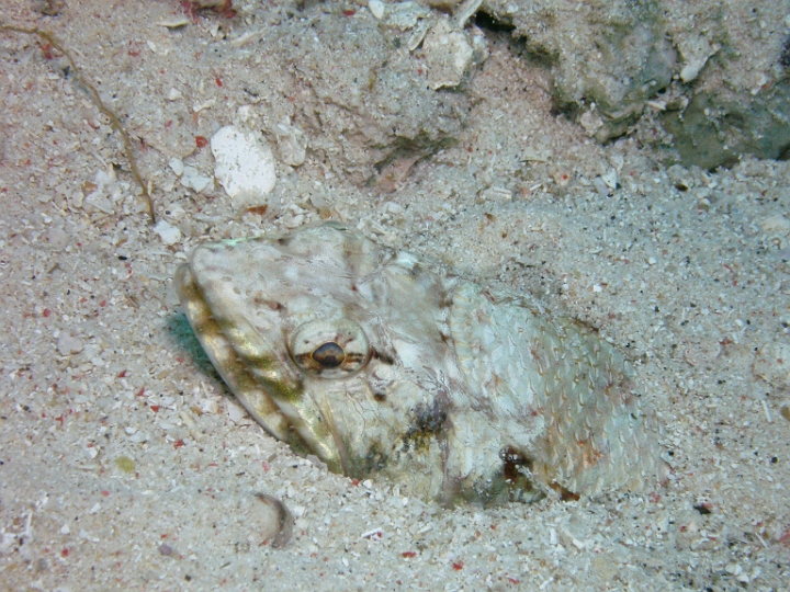 P4141111.JPG