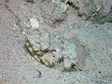 P4141111