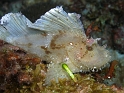 P4151341