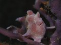 P5052159