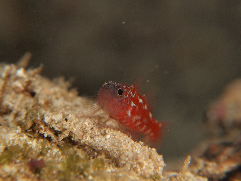 P8133559.jpg