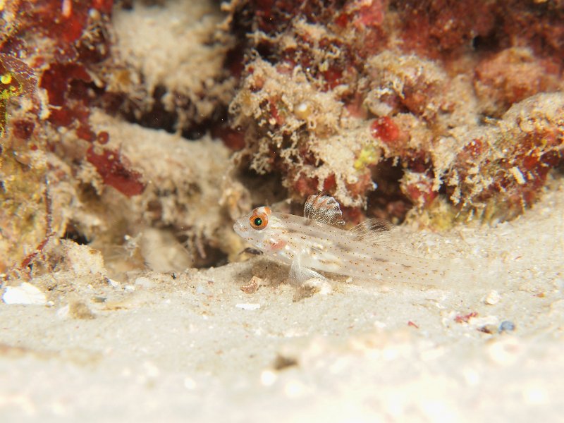 P8143718.jpg