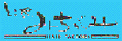 �r�I�ǂ���