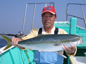 �Ԕ������ނ��������T�ł�