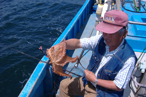 �ߓ�����