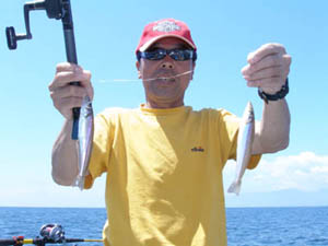 �Ԕ�����